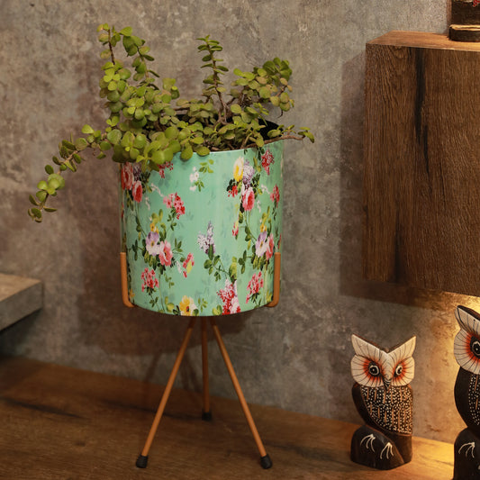 BEH- Green Ambience Tabletop/ Floor Planter with Stand