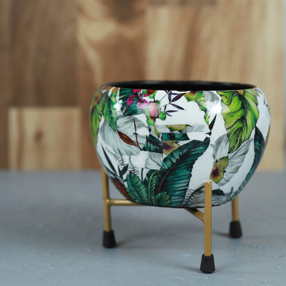 BEH- Green Leaf-Tabletop Planter with Stand for Indoor Plants