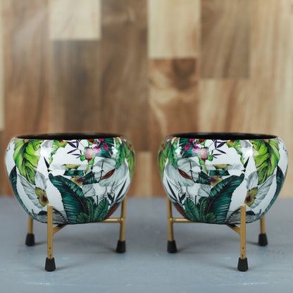 BEH- Green Leaf-Tabletop Planter with Stand for Indoor Plants