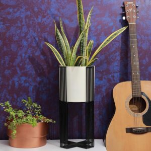 White Single Planter for Living Room